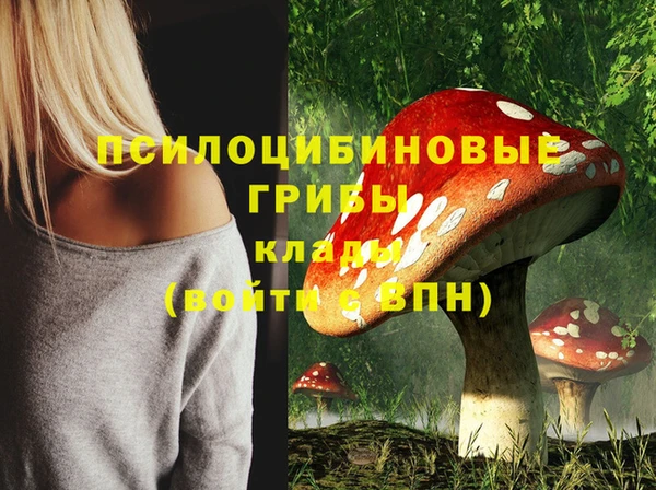 винт Елизово