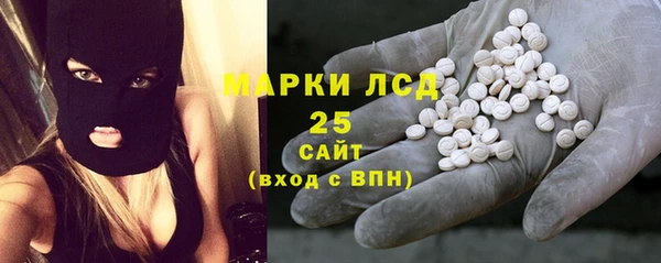 МДПВ Елабуга