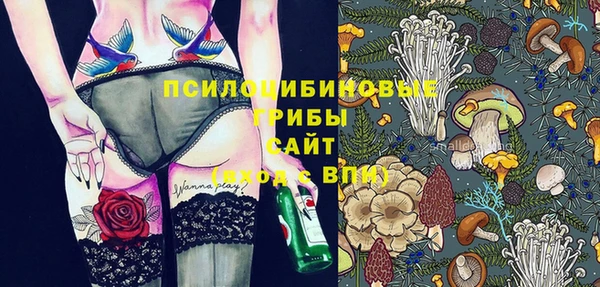 винт Елизово