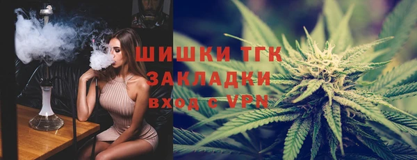 МДПВ Елабуга