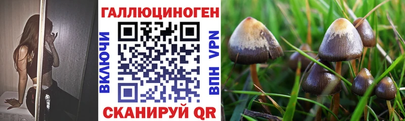 Купить закладки  Узловая  Галлюциногенные грибы Magic Shrooms 